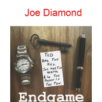 EndGame By Joe Diamond