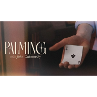 The Expert Palming Session By John Galsworthy