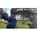SCENT OF A CARD By Kiko Pastur & Invisible Compass SCENT OF A CARD By Kiko Pastur & Invisible Compass