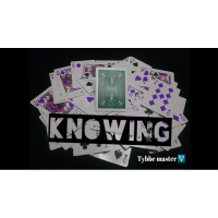 Knowing by Tybbe Master