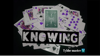 Knowing by Tybbe Master