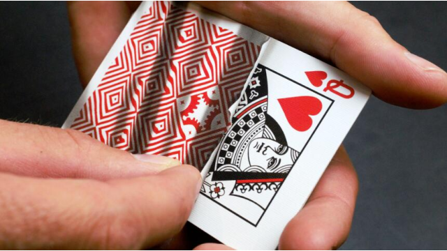 Visualies Gaff System By Mechanic Industries - Card Tricks