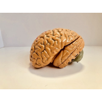 Mental Thoughts Vol 1 by Kassim Beydoun