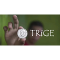 Trige Move By Rogelio Diaz Mechilina Jr. Trige Move By Rogelio Diaz Mechilina Jr.