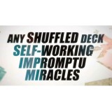 Self-Working Magic Tricks That Never Fail by Liam Montier