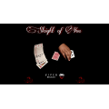 Sleight of You By Viper Magic Sleight of You By Viper Magic