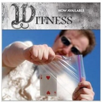 Witness by Lee Asher