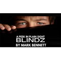Blindz by Mark Bennett Blindz by Mark Bennett