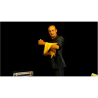 Fufan Magia Masterclass by Salvador Sufrate (2021-12-22)