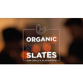 Organic Spirit Slates by Juan Capilla and Julio Montoro Organic Spirit Slates by Juan Capilla and Julio Montoro