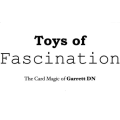 Toys Of Fascination by Dan Garrett