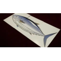 Shoji - Fishy Fish Shoji - Fishy Fish