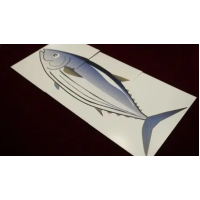 Shoji - Fishy Fish