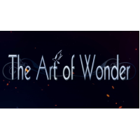 The Art of Wonder Lightning Bill Switch by Jay Scott Berry