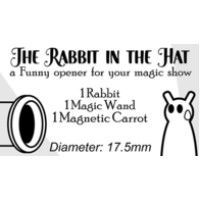 The Rabbit In the Hat by Creativity Lab