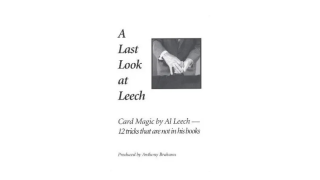 Al Leech - A Last Look at Leech