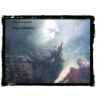 Helmuth Grunewald - Aspera Illusion