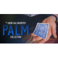 John Galsworthy – The Galsworthy Palm Collection John Galsworthy – The Galsworthy Palm Collection