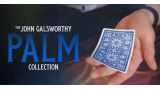 John Galsworthy – The Galsworthy Palm Collection