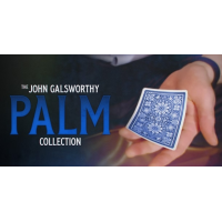 John Galsworthy – The Galsworthy Palm Collection