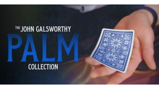 John Galsworthy – The Galsworthy Palm Collection