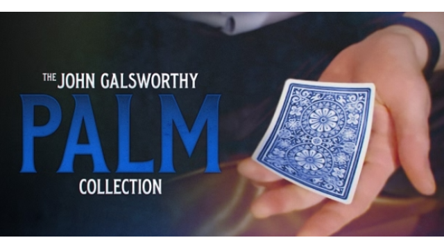 John Galsworthy – The Galsworthy Palm Collection - 2024