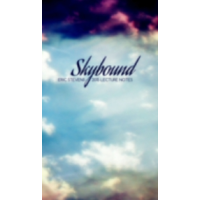 Eric Stevens - Skybound 2015 Lecture Notes