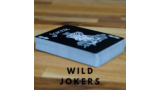 Wild Jokers by Aaron Lewis