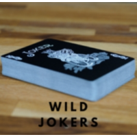 Wild Jokers by Aaron Lewis