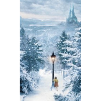 Narnia by Josh Zandman (PDF only)
