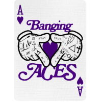 Daniel Madison - BANGING ACES - Sleight-of-Hand Workshop