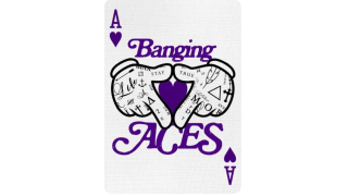 Daniel Madison - BANGING ACES - Sleight-of-Hand Workshop