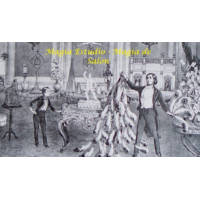 Magia Estudio – Magia de Salon
