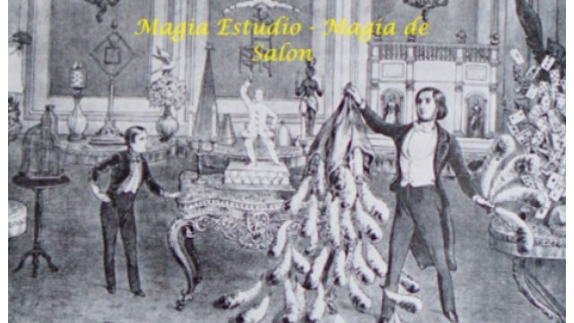 Magia Estudio – Magia de Salon - 2024