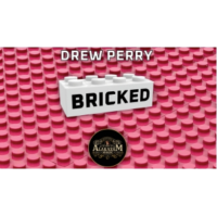 Bricked by Drew Perry