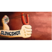 The Slingshot by Joel Anthony
