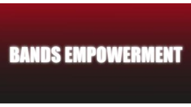 Bands Empowerment by Craig Petty - 2024