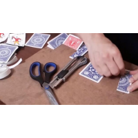 Magia Estudio - Fabrica tus propias cartas trucadas (Spanish)