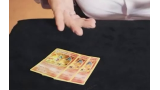 Michael Bloemeke & Michael O'Brien - Pokémon Wild Card Bonus Pack