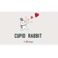 Cupid Rabbit by JT Cupid Rabbit by JT