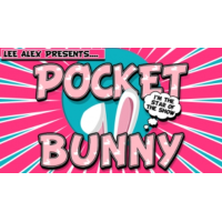 Pocket Bunny by Lee Alex