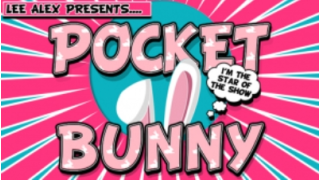 Pocket Bunny by Lee Alex