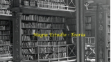 Magia Estudio – Teoría