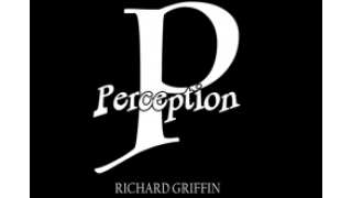 PERCEPTION by Richard Griffin 