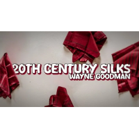 Wayne Goodman - 20Th Century Silks