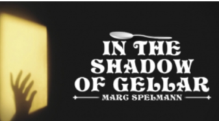 In The Shadow Of Gellar By Marc Spelmann