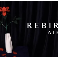 Rebirth by Alen L