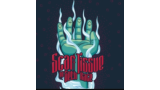 Scar Tissue by Seth Race