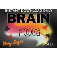 Brain Fog by Vinny Sagoo