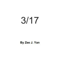 3 17 by Zee J. Yan
